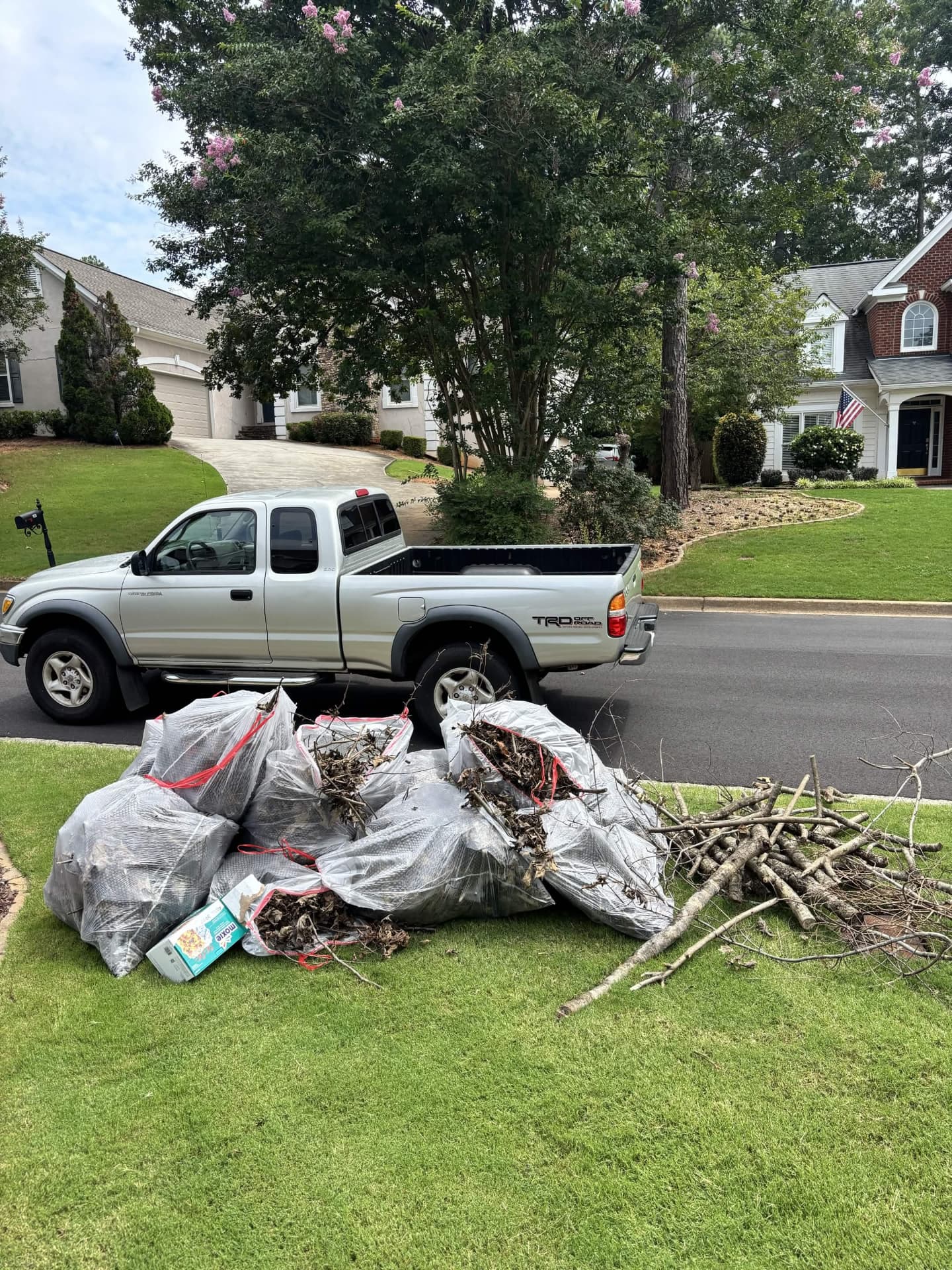Bagged yard debris and branches piled on a North Atlanta lawn ready for removal
